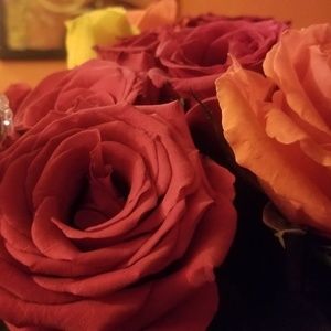 Meet your Posher, Johnny